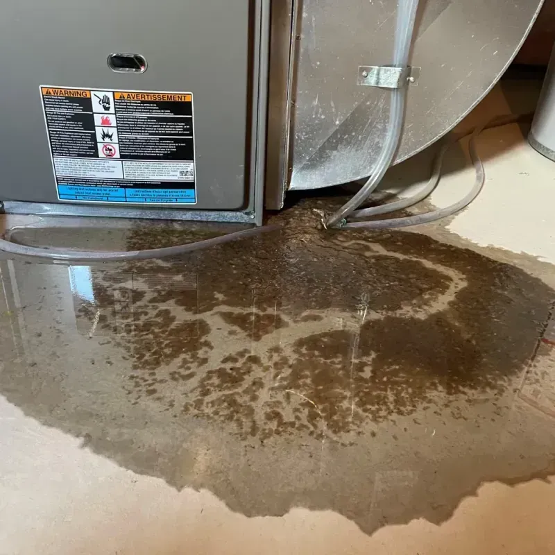 Appliance Leak Cleanup in Chapmanville, WV